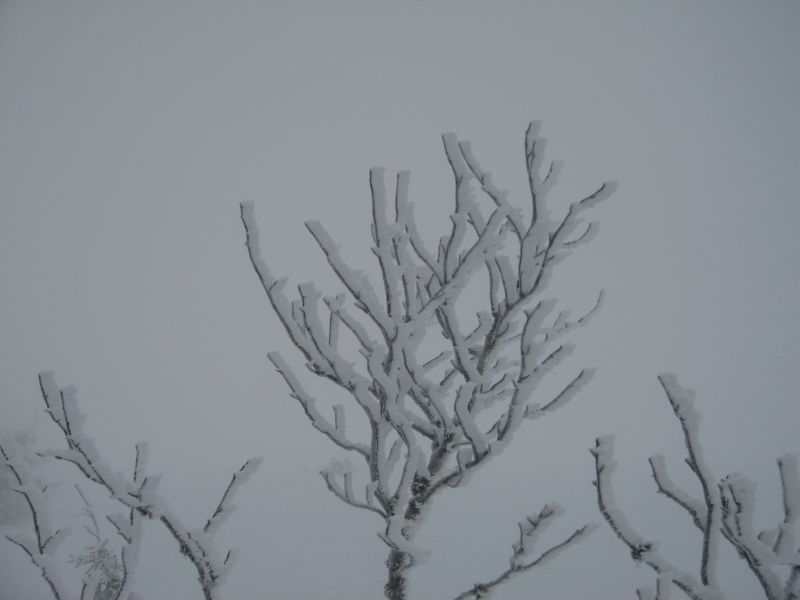 2008-12-27 Feldberg (01) quite pretty